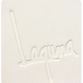 EM-100 White (Talc-Free)- Low Fire Cone 04 Clay - 25 lbs bag